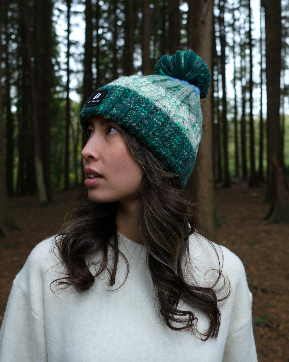 Two-tone pom-pom knit beanie with heather gray top and dark green ribbed band.